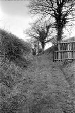 Leominster Canal. Horse towpath over Putnal Field tunnel. 1973