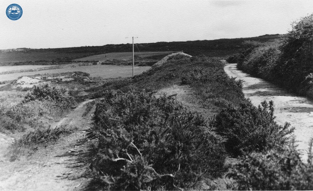 Portreath Tramroad. East of Wheal Plenty, looking towards Wheal Rose at old shaft. May 1954 (18)