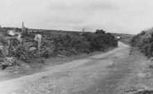 Portreath Tramroad.  Another view to Wheal Rose. May 1954 (21)