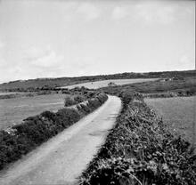 Portreath Tramroad. Curve towards the south east near Wheal Rose.  May 1954 (20)