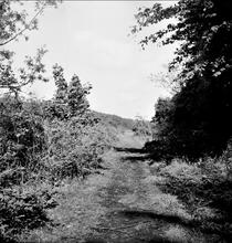 Portreath Tramroad. Zimpanen Villa. May 1954 (26) 