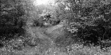 Coalbrookdale District Tramroads (see map & accompanying descriptions for details)