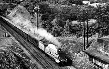 A4 Class 4-6-2 No. 4482 ''Golden Eagle". (Ref: 010962)