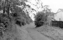 Campbeltown and Macrihanish Light Railway -Track bed (Ref: 031485)