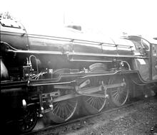 325044E  77 RH&D Green Goddess